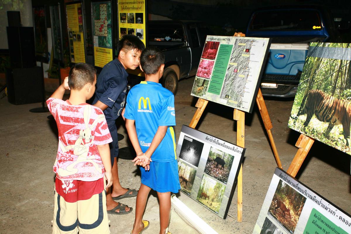 Tiger campaigns and tiger protection training in schools