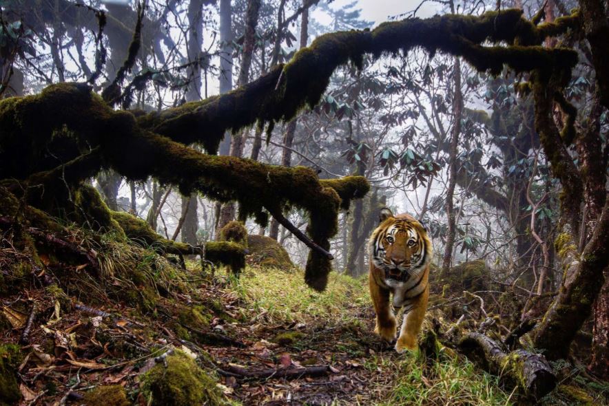 Ausbildungscamp Training